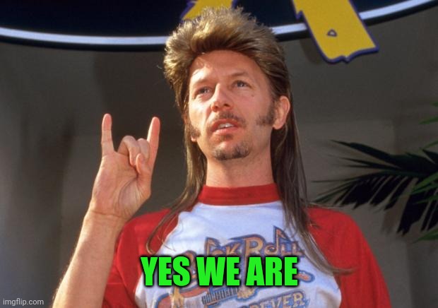 Joe Dirt | YES WE ARE | image tagged in joe dirt | made w/ Imgflip meme maker