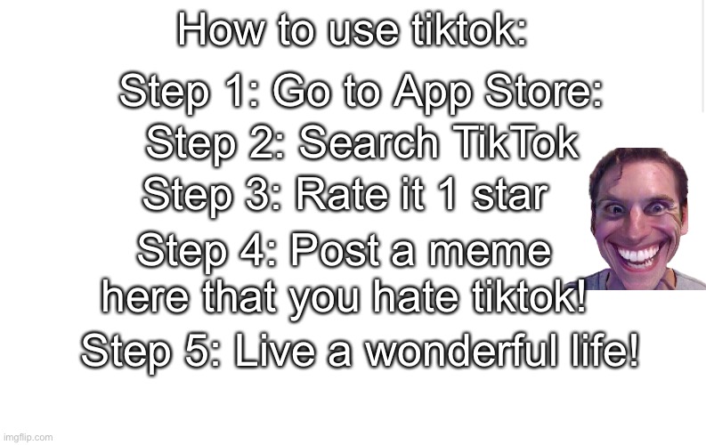 I haaate tiktok now! | Step 1: Go to App Store:; How to use tiktok:; Step 2: Search TikTok; Step 3: Rate it 1 star; Step 4: Post a meme here that you hate tiktok! Step 5: Live a wonderful life! | image tagged in blank meme template | made w/ Imgflip meme maker
