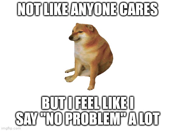 a | NOT LIKE ANYONE CARES; BUT I FEEL LIKE I SAY "NO PROBLEM" A LOT | image tagged in blank white template | made w/ Imgflip meme maker