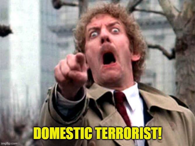 Donald Sutherland Invasion of the Body Snatchers | DOMESTIC TERRORIST! | image tagged in donald sutherland invasion of the body snatchers | made w/ Imgflip meme maker
