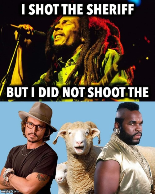 I shot the Sheriff ! | image tagged in johnny depp | made w/ Imgflip meme maker