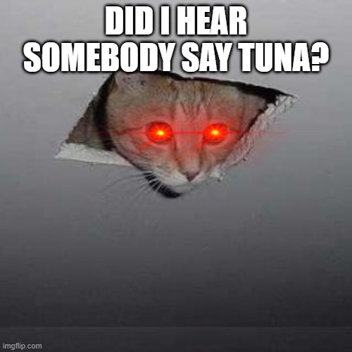 Ceiling Cat | DID I HEAR SOMEBODY SAY TUNA? | image tagged in memes,ceiling cat | made w/ Imgflip meme maker