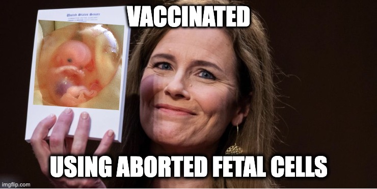 VACCINATED; USING ABORTED FETAL CELLS | image tagged in memes,fetal cell lines,medical research,hypocrisy,christians,pro-life | made w/ Imgflip meme maker