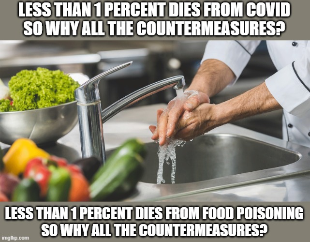 If less than 1 percent dies from it, why all the countermeasures? | LESS THAN 1 PERCENT DIES FROM COVID
SO WHY ALL THE COUNTERMEASURES? LESS THAN 1 PERCENT DIES FROM FOOD POISONING
SO WHY ALL THE COUNTERMEASURES? | image tagged in covid19,covidiots,goplogic,special kind of stupid | made w/ Imgflip meme maker