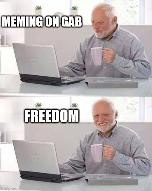 Hide the Pain Harold Meme | MEMING ON GAB; FREEDOM | image tagged in memes,hide the pain harold | made w/ Imgflip meme maker