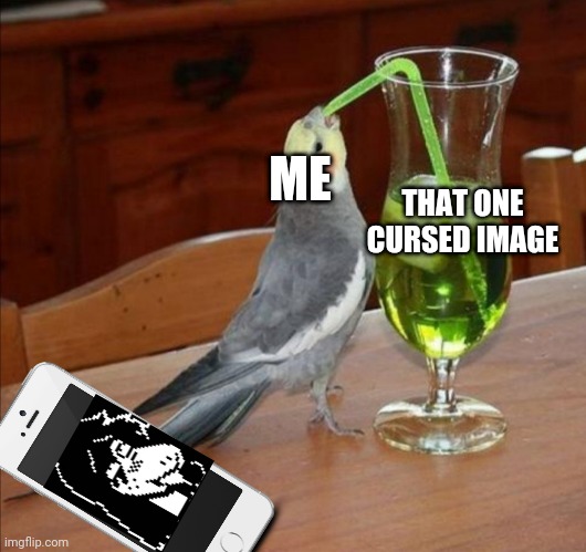 Bird drinking green juice | THAT ONE CURSED IMAGE; ME | image tagged in bird drinking green juice | made w/ Imgflip meme maker