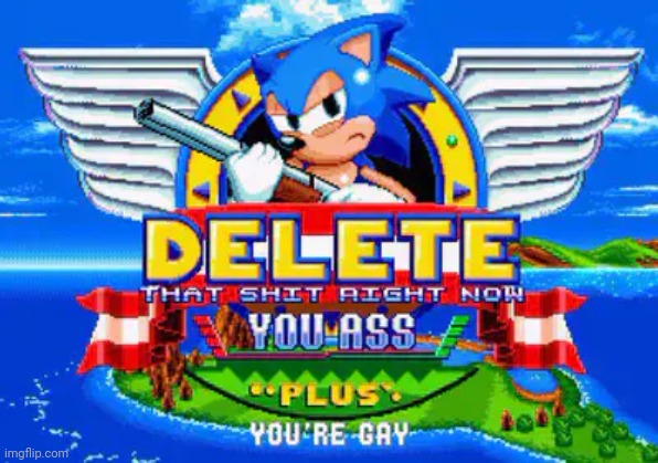 When Sonic finds pirated software on your PC | image tagged in sonic mania plus rage | made w/ Imgflip meme maker
