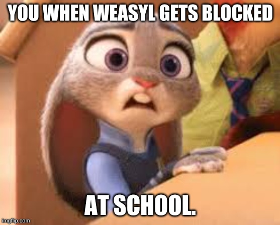 weasyl blocked | YOU WHEN WEASYL GETS BLOCKED; AT SCHOOL. | image tagged in school,blocked | made w/ Imgflip meme maker