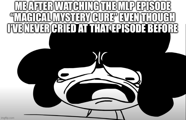 H O R M O N E S | ME AFTER WATCHING THE MLP EPISODE “MAGICAL MYSTERY CURE” EVEN THOUGH I’VE NEVER CRIED AT THAT EPISODE BEFORE | image tagged in sr pelo crying | made w/ Imgflip meme maker