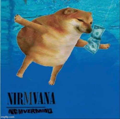 nemermind | image tagged in nirvana,rock and roll,i guess ill die,finding neverland,i know that feel bro,much wow | made w/ Imgflip meme maker