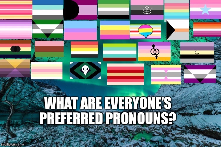 Pronouns | WHAT ARE EVERYONE’S PREFERRED PRONOUNS? | made w/ Imgflip meme maker