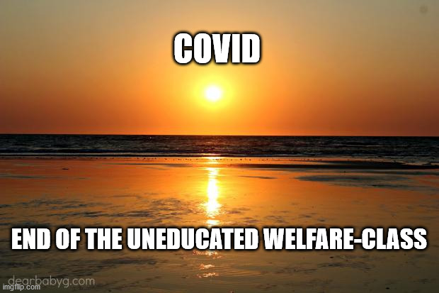 beach sunset | COVID; END OF THE UNEDUCATED WELFARE-CLASS | image tagged in beach sunset | made w/ Imgflip meme maker