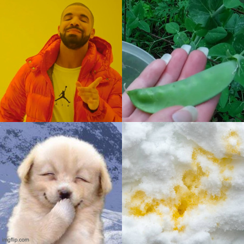 Snow peas.  Know the difference. | image tagged in memes,drake hotline bling,rebus week is coming,know the difference,laughing dog | made w/ Imgflip meme maker