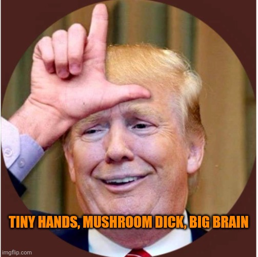 Trump loser | TINY HANDS, MUSHROOM DICK, BIG BRAIN | image tagged in trump loser | made w/ Imgflip meme maker