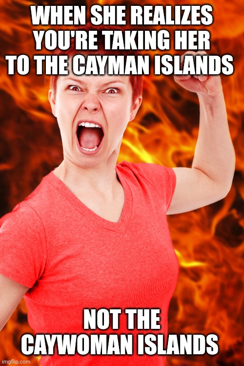 WHEN SHE REALIZES YOU'RE TAKING HER TO THE CAYMAN ISLANDS; NOT THE CAYWOMAN ISLANDS | image tagged in funny memes | made w/ Imgflip meme maker