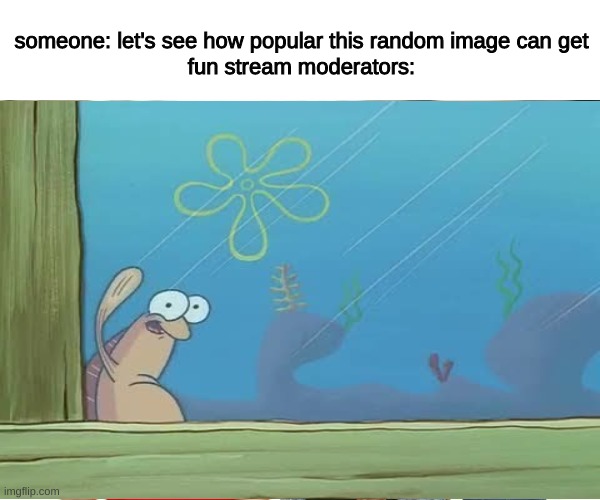 For real though | someone: let's see how popular this random image can get
fun stream moderators: | image tagged in memes,funny,funny memes,lol,spongebob,fun | made w/ Imgflip meme maker