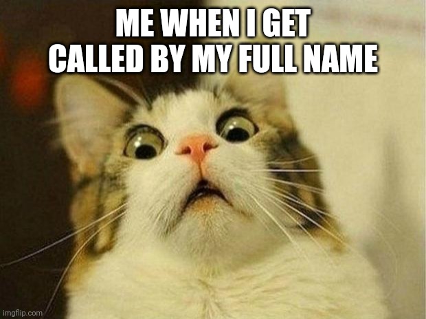 Scared Cat Meme | ME WHEN I GET CALLED BY MY FULL NAME | image tagged in memes,scared cat | made w/ Imgflip meme maker
