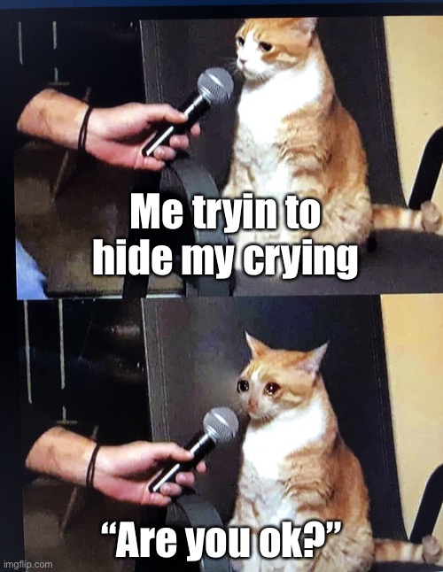 this is true | Me tryin to hide my crying; “Are you ok?” | image tagged in cat interview crying,crying,relatable,so true memes,true story,sad | made w/ Imgflip meme maker