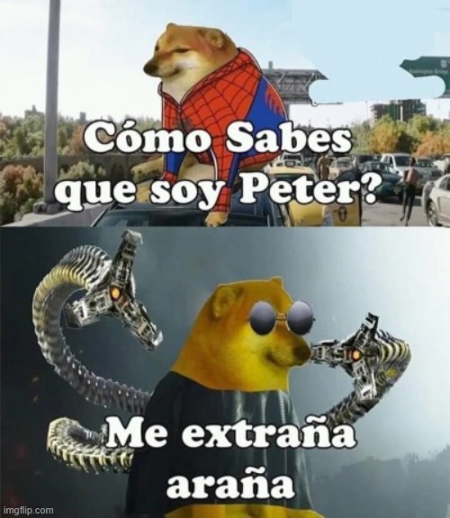 Como sabes | image tagged in cheems,spanish,spicy,tacos,spiderman,octopus | made w/ Imgflip meme maker