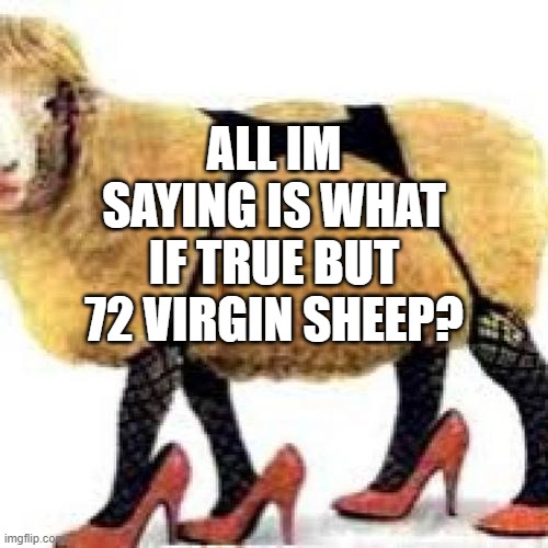 72 virgins | ALL IM SAYING IS WHAT IF TRUE BUT 72 VIRGIN SHEEP? | image tagged in islam,allah,sheep,72 virgins,muslim | made w/ Imgflip meme maker