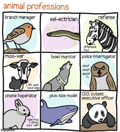 Animal professions comic - Imgflip