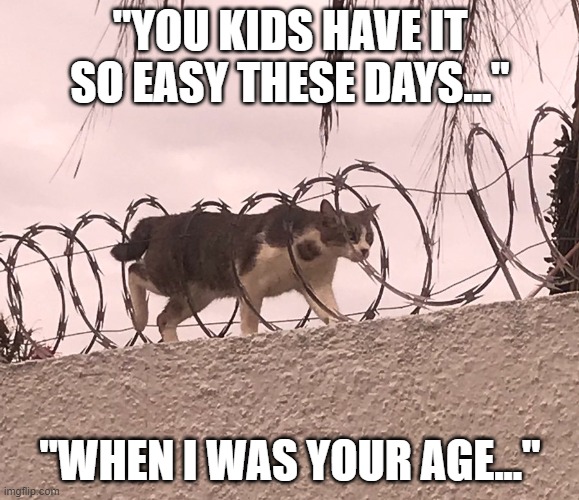 When I was your age | "YOU KIDS HAVE IT SO EASY THESE DAYS..."; "WHEN I WAS YOUR AGE..." | image tagged in cat barbed wire | made w/ Imgflip meme maker