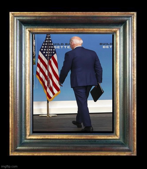 New official presidential portrait | image tagged in joe biden,memes,politics lol | made w/ Imgflip meme maker