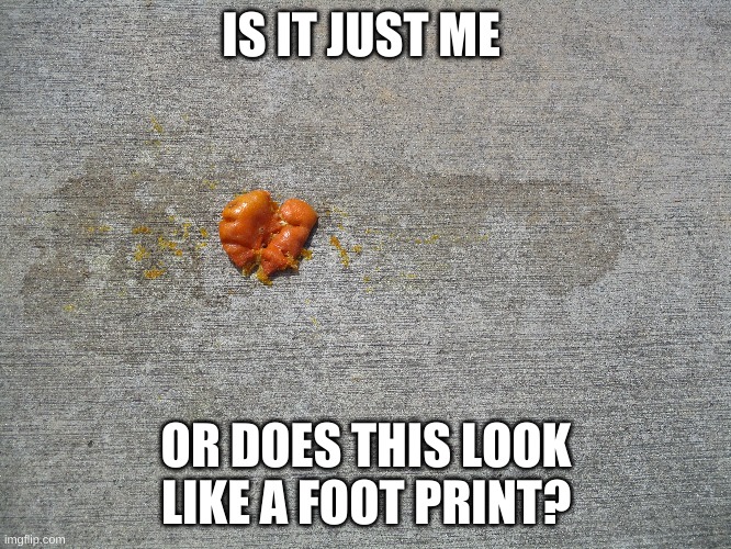 *random name* |  IS IT JUST ME; OR DOES THIS LOOK LIKE A FOOT PRINT? | image tagged in foot,feet,footprints,orange | made w/ Imgflip meme maker