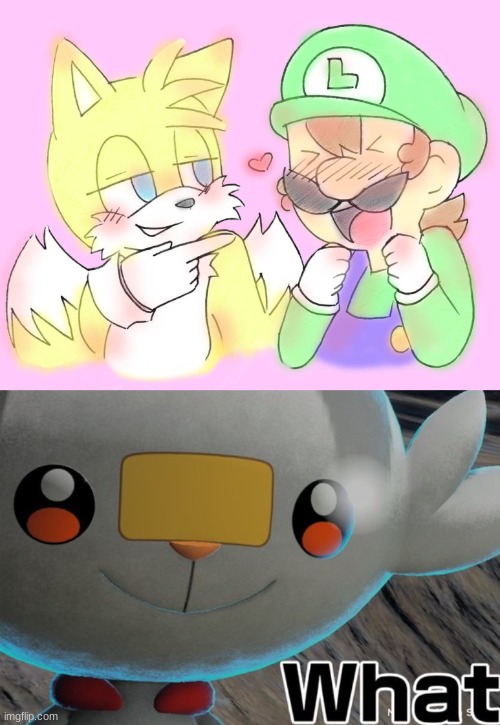 New template | image tagged in scorbunny what | made w/ Imgflip meme maker