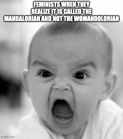 It be like this lul | FEMINISTS WHEN THEY REALIZE IT IS CALLED THE MANDALORIAN AND NOT THE WOMANDOLORIAN | image tagged in memes,angry baby | made w/ Imgflip meme maker