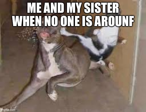 did some one say ____???? | ME AND MY SISTER WHEN NO ONE IS AROUNF | image tagged in did some one say ____ | made w/ Imgflip meme maker