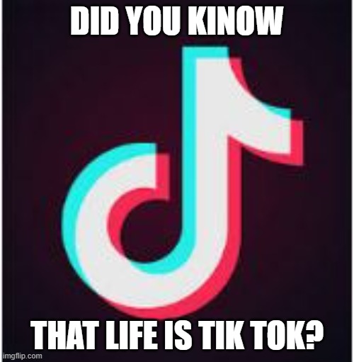 LIFE IS A TIK TOKKER GET THEM!!!! | DID YOU KINOW; THAT LIFE IS TIK TOK? | image tagged in tik tok | made w/ Imgflip meme maker