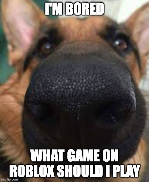 German shepherd but funni | I'M BORED; WHAT GAME ON ROBLOX SHOULD I PLAY | image tagged in german shepherd but funni | made w/ Imgflip meme maker
