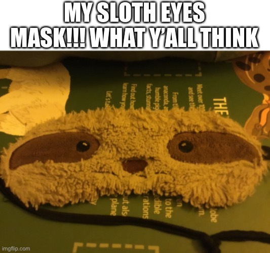 Need to buy one for Sloth, as well | MY SLOTH EYES MASK!!! WHAT Y’ALL THINK | made w/ Imgflip meme maker