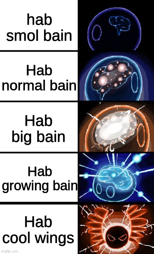 anti meme | hab smol bain; Hab normal bain; Hab big bain; Hab growing bain; Hab cool wings | image tagged in polandball expanding brain 2,polandball | made w/ Imgflip meme maker