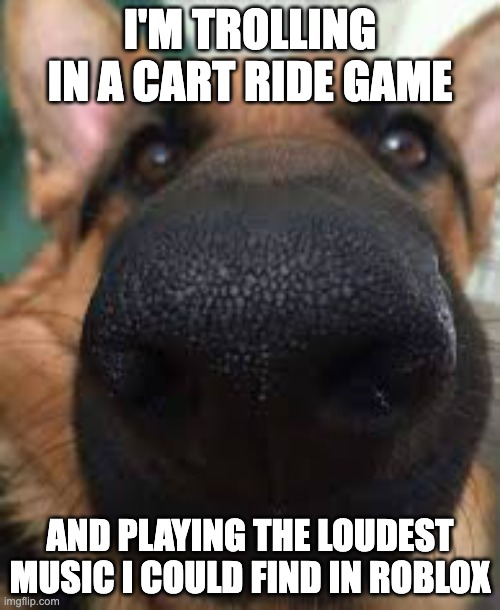 German shepherd but funni | I'M TROLLING IN A CART RIDE GAME; AND PLAYING THE LOUDEST MUSIC I COULD FIND IN ROBLOX | image tagged in german shepherd but funni | made w/ Imgflip meme maker