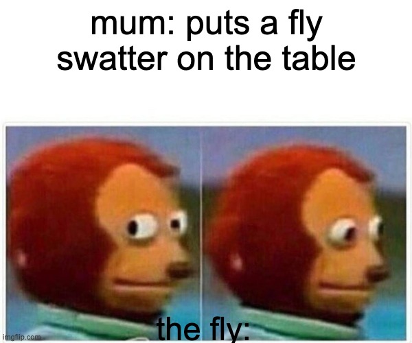 Monkey Puppet | mum: puts a fly swatter on the table; the fly: | image tagged in memes,monkey puppet | made w/ Imgflip meme maker