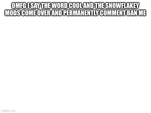 Blank White Template | OMFG I SAY THE WORD COOL AND THE SNOWFLAKEY MODS COME OVER AND PERMANENTLY COMMENT BAN ME | image tagged in blank white template | made w/ Imgflip meme maker