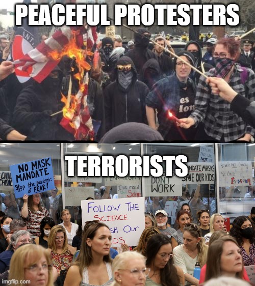PEACEFUL PROTESTERS; TERRORISTS | image tagged in antifa democrat leftist terrorist,parents,cnn fake news | made w/ Imgflip meme maker