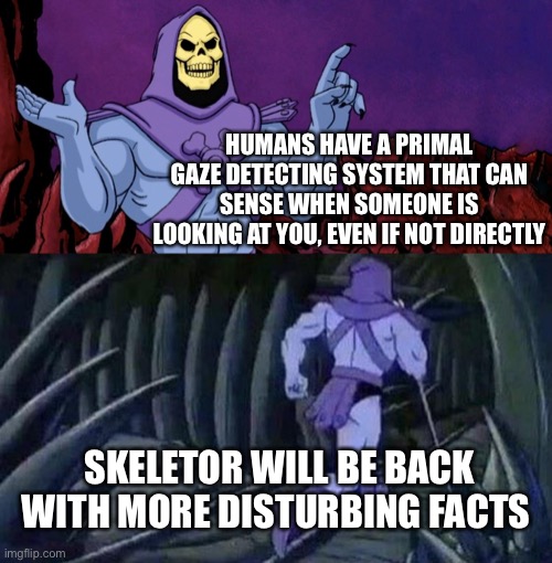 You’re not so paranoid after all | HUMANS HAVE A PRIMAL GAZE DETECTING SYSTEM THAT CAN SENSE WHEN SOMEONE IS LOOKING AT YOU, EVEN IF NOT DIRECTLY; SKELETOR WILL BE BACK WITH MORE DISTURBING FACTS | image tagged in he man skeleton advices | made w/ Imgflip meme maker