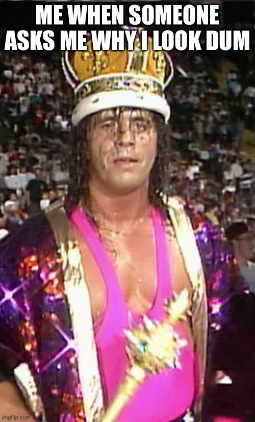 Bret Hart | ME WHEN SOMEONE ASKS ME WHY I LOOK DUM | image tagged in bret hart | made w/ Imgflip meme maker