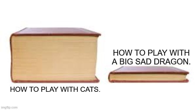 Big book small book | HOW TO PLAY WITH A BIG SAD DRAGON. HOW TO PLAY WITH CATS. | image tagged in big book small book | made w/ Imgflip meme maker