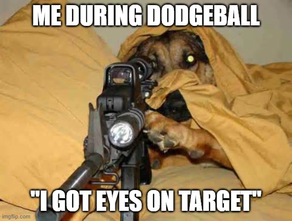 Snper dodgeball |  ME DURING DODGEBALL; "I GOT EYES ON TARGET" | image tagged in sniper dog,funny,dodgeball,sniper,god,fun | made w/ Imgflip meme maker