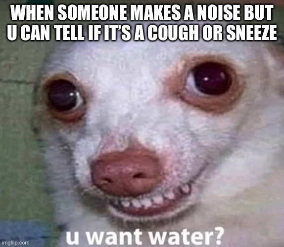 U want water | WHEN SOMEONE MAKES A NOISE BUT U CAN TELL IF IT’S A COUGH OR SNEEZE | image tagged in u want water | made w/ Imgflip meme maker