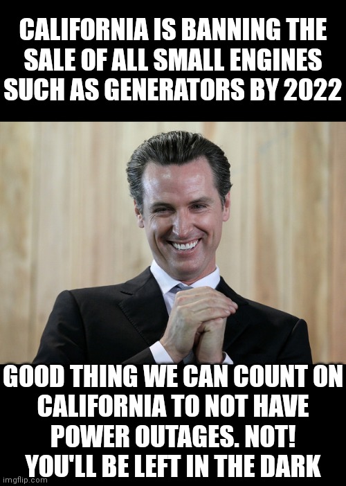 Gas powered chainsaws, weed eaters, blowers, mowers, generators no longer sold by 2022 | CALIFORNIA IS BANNING THE
SALE OF ALL SMALL ENGINES
SUCH AS GENERATORS BY 2022; GOOD THING WE CAN COUNT ON
CALIFORNIA TO NOT HAVE
POWER OUTAGES. NOT!
YOU'LL BE LEFT IN THE DARK | image tagged in scheming gavin newsom,democrats,climate change,california | made w/ Imgflip meme maker