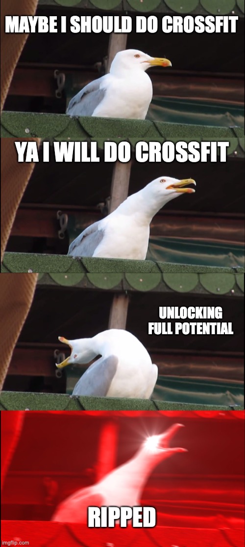 Crossfit be good | MAYBE I SHOULD DO CROSSFIT; YA I WILL DO CROSSFIT; UNLOCKING FULL POTENTIAL; RIPPED | image tagged in memes,inhaling seagull | made w/ Imgflip meme maker