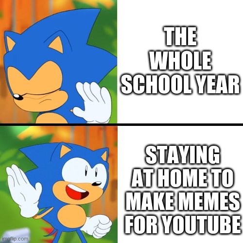 when you don't like school | THE WHOLE SCHOOL YEAR; STAYING AT HOME TO MAKE MEMES FOR YOUTUBE | image tagged in sonic mania | made w/ Imgflip meme maker