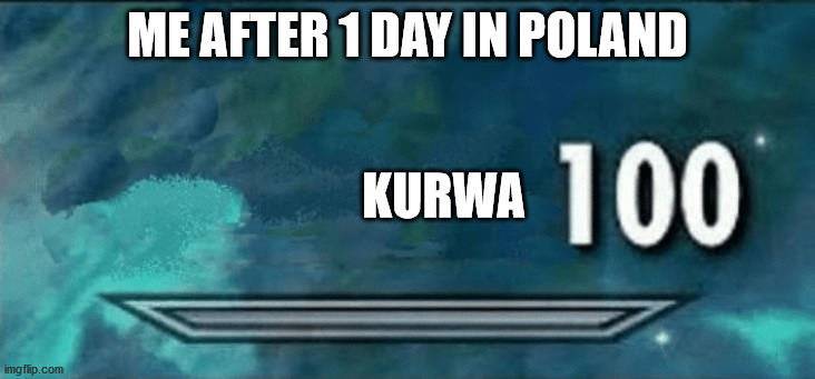 Skyrim skill meme | ME AFTER 1 DAY IN POLAND; KURWA | image tagged in skyrim skill meme | made w/ Imgflip meme maker