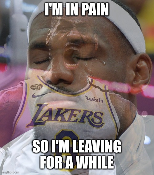 Add me on discord though. I'll be there sometimes | I'M IN PAIN; SO I'M LEAVING FOR A WHILE | image tagged in crying lebron james | made w/ Imgflip meme maker