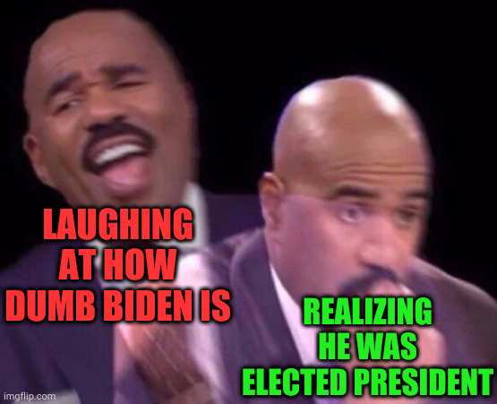 Steve Harvey Laughing Serious | LAUGHING AT HOW DUMB BIDEN IS; REALIZING HE WAS ELECTED PRESIDENT | image tagged in steve harvey laughing serious,political meme | made w/ Imgflip meme maker